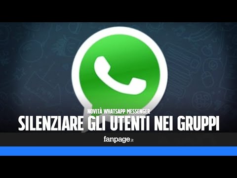 Volete silenziare un gruppo WhatsApp? Ecco come!